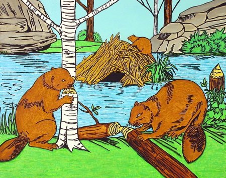 Бобр картинка для детей