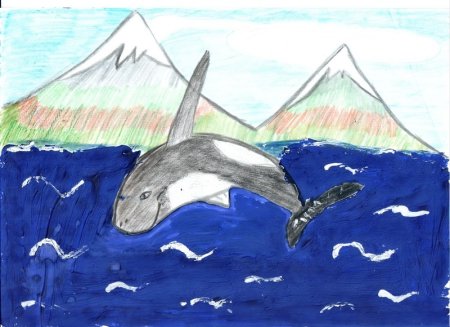 Рисование Камчатка в детском саду