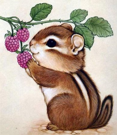 Рисунки белок карандашом