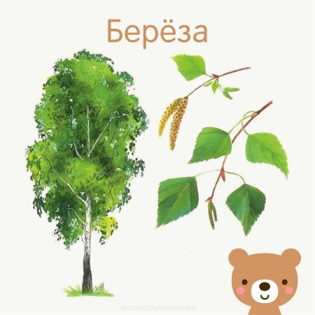 Деревья картинки для детей с названиями