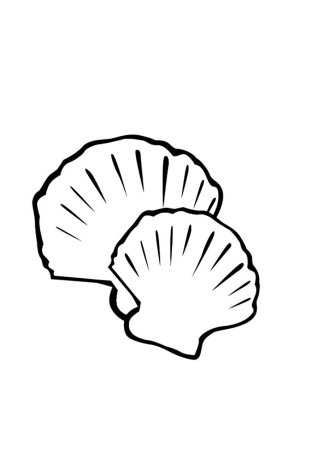 Ракушка трафарет