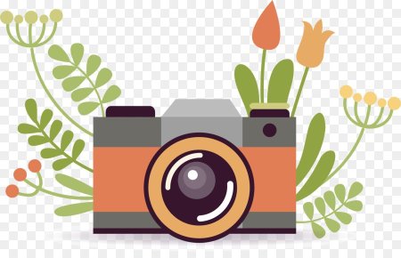 Фотоаппарат вектор