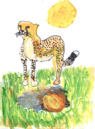 Рисунок гепард детский (54 фото)