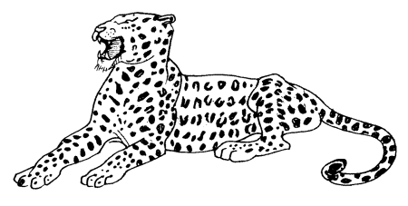 Раскраска леопард