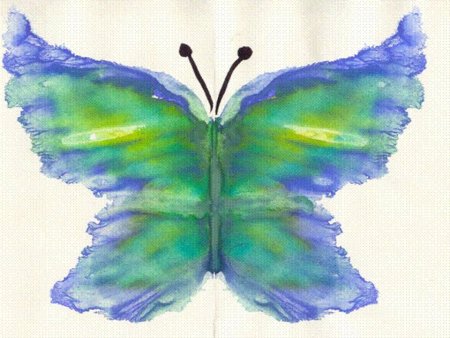 Техника монотипии для детей бабочка