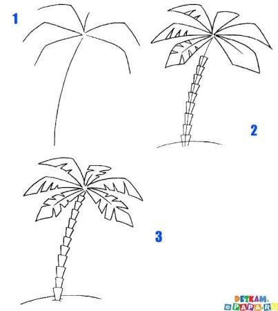 Пальма детский рисунок (51 фото)