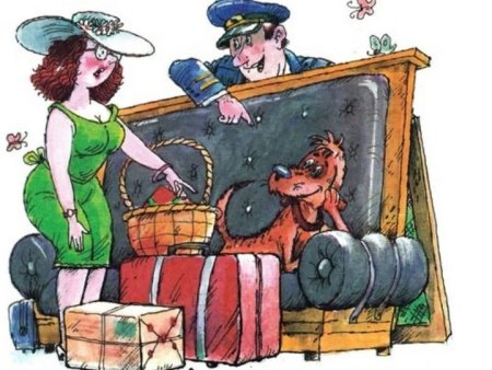 Самуил Маршак саквояж