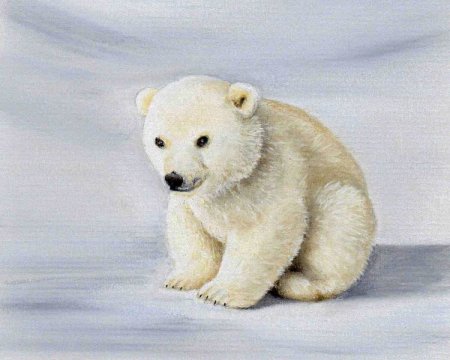 Белый медведь рисунок для детей