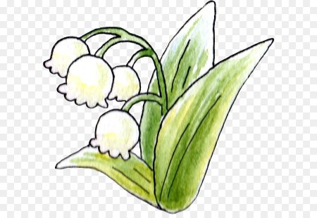 Ландыш рисунок для детей