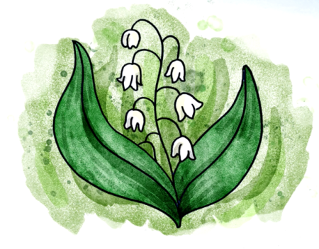 Ландыш Майский для срисовки