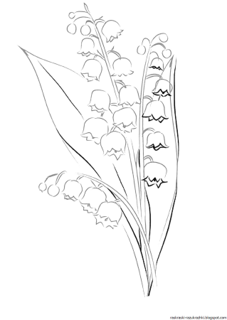 Разукрашка цветы ландыша