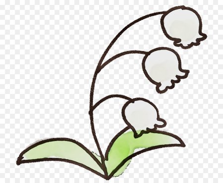 Ландыш Майский рисовать