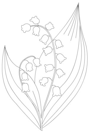 Рисование Ландыши средняя группа