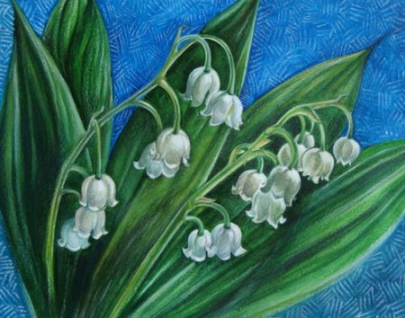 Ландыш Майский