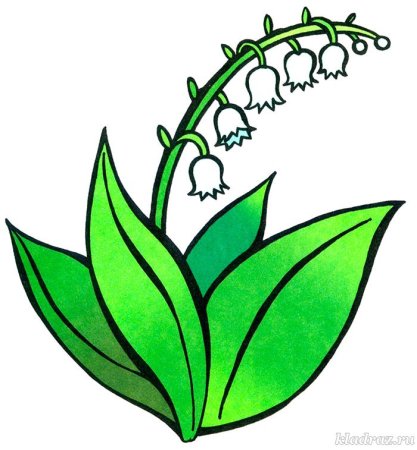 Разукрашка цветы ландыша