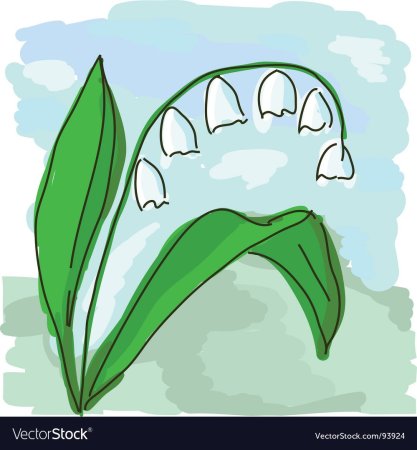 Ландыши рисунок акварелью