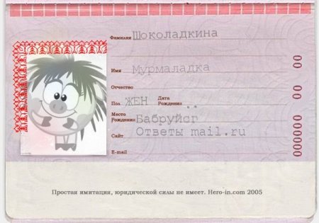 Паспорт шаблон