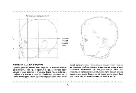 Пропорции головы ребенка