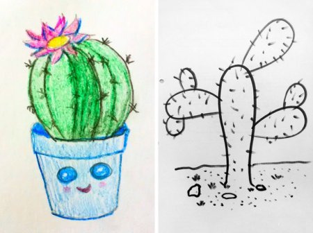 Кактус рисунок карандашом