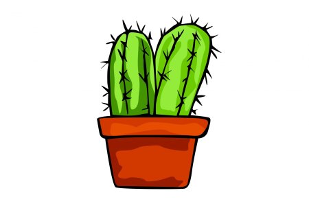 Кактус рисунок