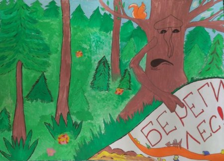 Берегите лес рисунок