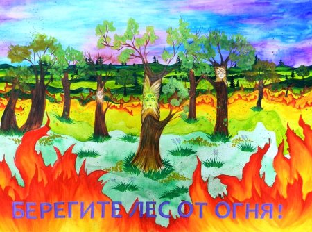 Сбережем леса