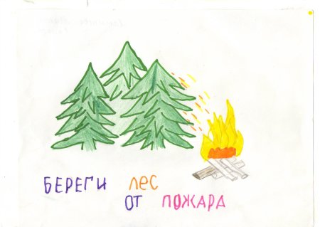 Конкурс рисунков берегите лес