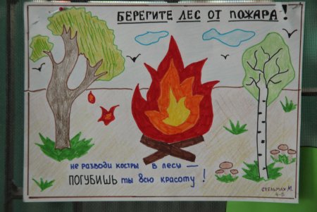 Плакат береги лес от пожара