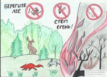 Плакат береги лес