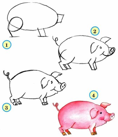 Свинья рисунок детский рисунок (55 фото)