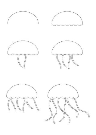 Векторы по запросу Раскраска медузы