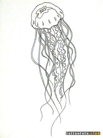 Медуза рисунок детский рисунок (55 фото)