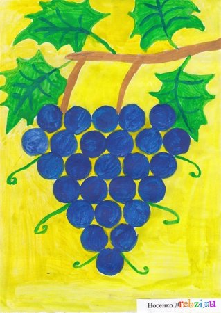 Рисование виноград подготовительная группа