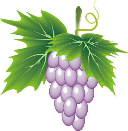 Виноград инскейп