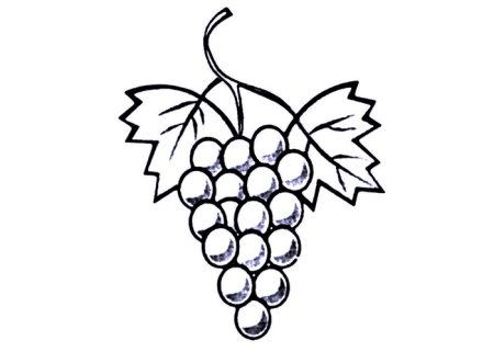 Виноград раскраска