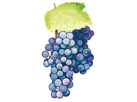 Виноград мультяшный