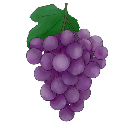 Виноград пейнт
