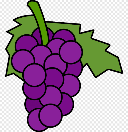 Виноград картинка для детей