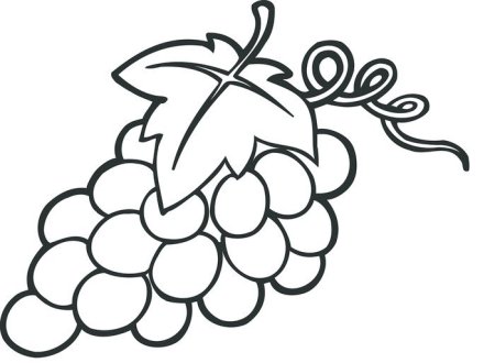 Виноград для детей черно белый