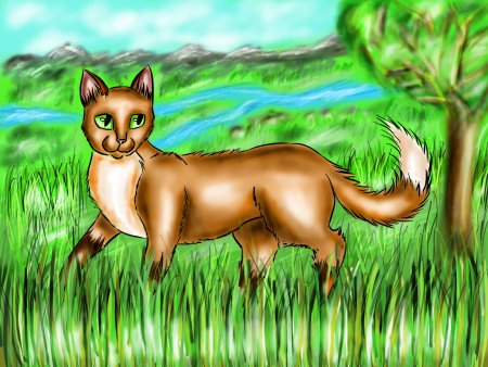 Коты Воители