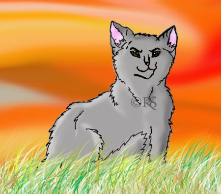 Коты Воители рисунки