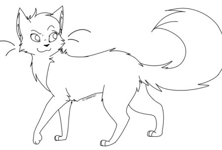 Коты Воители лайны Амино