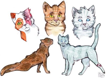 Коты Воители рисовка