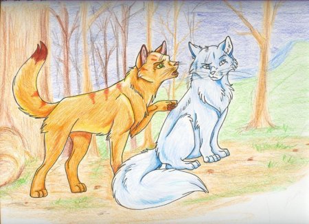Коты Воители белохвост и Огнегрив