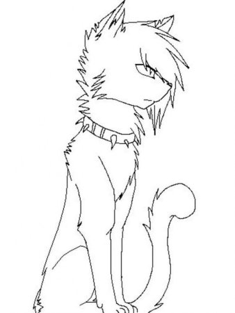 Разукраску коты Воители Бич