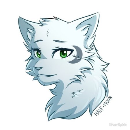 Коты Воители половинка Луны