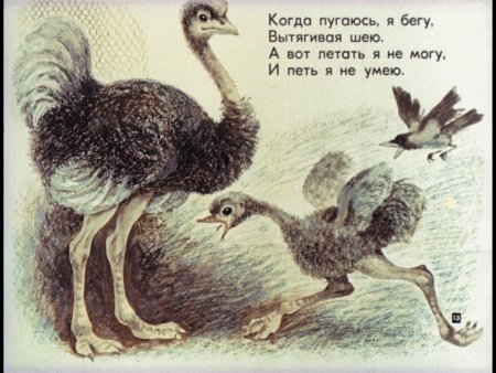 Маршак страусенок
