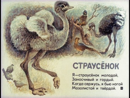 Маршак детки в клетке страусенок