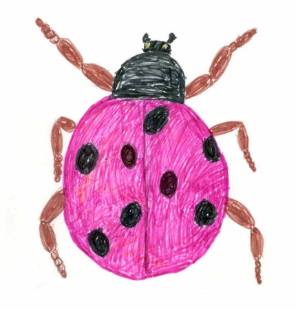 Рисунок детский жук (51 фото)