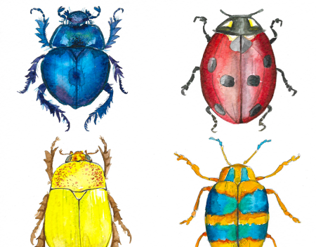 Рисование жука